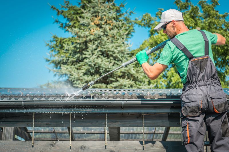 Gutter Cleaning Experts